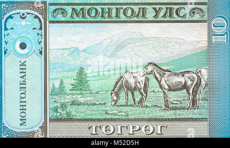 Mongolia Ten 10 Tugrik Togrog Bank Note Stock Photo