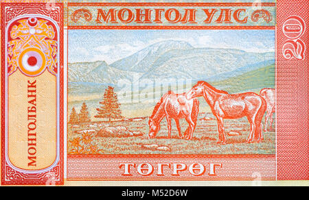 Mongolia Twenty 20 Tugrik Togrog Bank Note Stock Photo