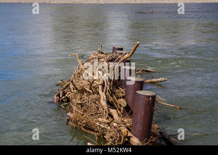 Tree branches stuck in the river Stock Photo