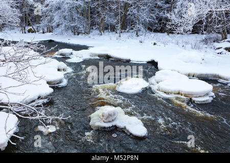 Ice floes in the river on the forest river Stock Photo