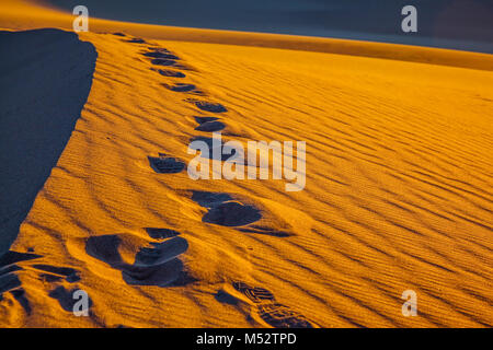 Sandy Desert in Mesquite Flat Stock Photo