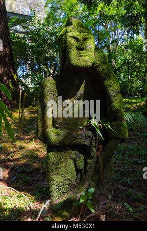 Enchanted Garden Stock Photo 217192700 Alamy