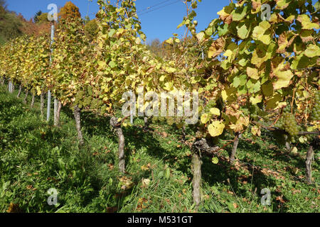 Coulo hi-res stock photography and images - Alamy
