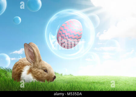 Funny bunny with eggs on flying bubbles in the green lawn Stock Photo