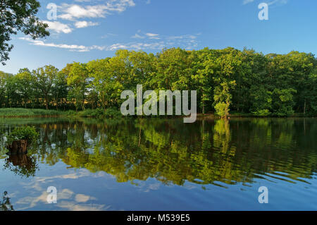 UK,Somerset,Chard Reservoir Stock Photo - Alamy