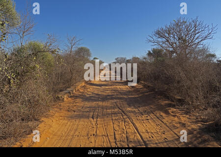 dry thorn forest Tulear, Madagascar November Stock Photo - Alamy