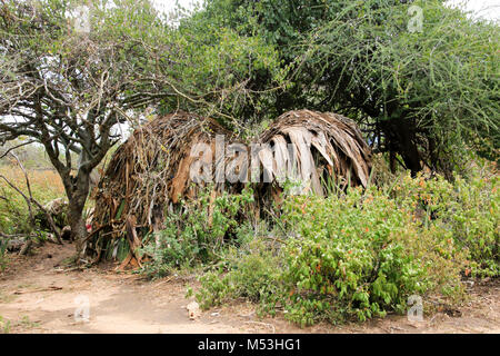 Straw Thatched huts in a Hadza Tribe village, Lake Eyasi, Tanzania Stock Photo