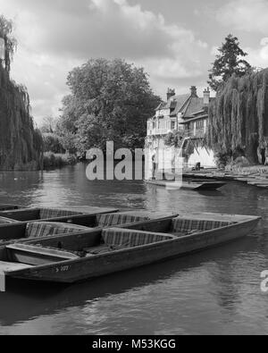 Punts moored on the River Cam by the Old Granary of Darwin College Cambridge Stock Photo