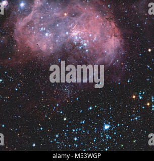 This broad vista of young stars and gas clouds in our neighbouring ...