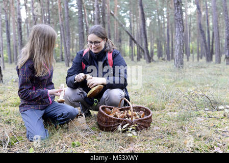 mother and daughter picking mushroomes Stock Photo