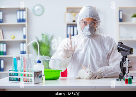 Scientist doing animal experiment in lab with rabbit Stock Photo