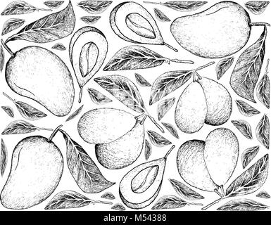 Tropical Fruits, Illustration Wallpaper Background of Hand Drawn Sketch Fresh Ripe Mango and Marian Plum Fruits. Stock Vector
