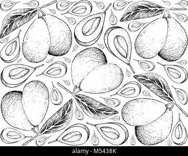 Fresh Fruits, Illustration Wallpaper Background of Hand Drawn Sketch Fresh Marian Plum or Plum Mango Fruits Isolated on White . Stock Vector