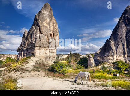 White horse near tufa geological formation with windows called fairy chimneys in Cappadocia, Turkey Stock Photo