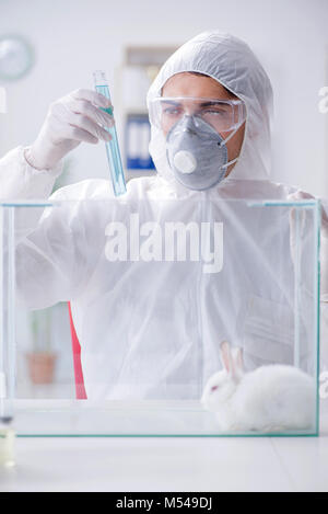 Scientist doing animal experiment in lab with rabbit Stock Photo - Alamy