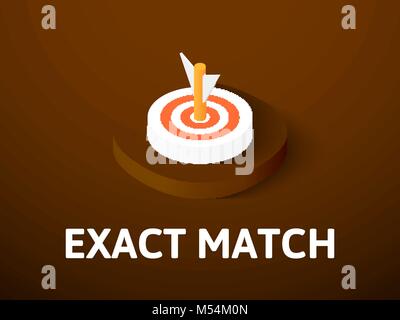 Exact match isometric icon, isolated on color background Stock Vector