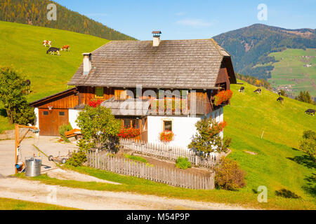 typical house of the Italian Alps with grazing cows Stock Photo