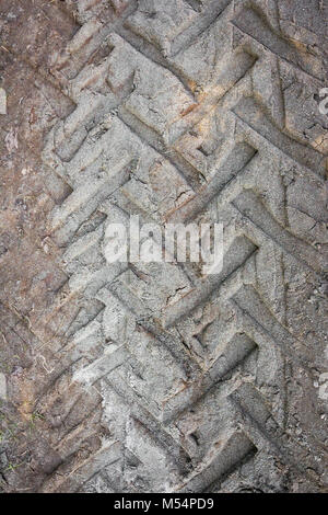 Tire tracks on a muddy road Stock Photo