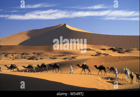 Algeria. Near Djanet. Sahara desert. Men of Tuareg tribe and camel caravan. Sand dunes and sand sea. Stock Photo
