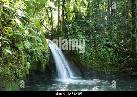 Crayfish Waterfall or La Cascade aux Ecrevisses, Guadeloupe National Park, Guadeloupe, French West Indies. Stock Photo