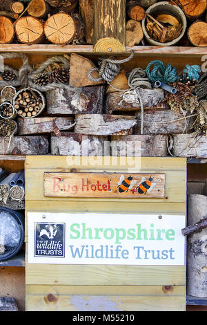 One of (16) images in this set os images relating to landmarks and architecture in Shrewsbury, England. Bug Hotel at Shropshire Wildlife Trust. Stock Photo