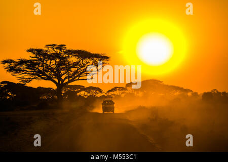 safari jeep driving through savannah in the sunset Stock Photo