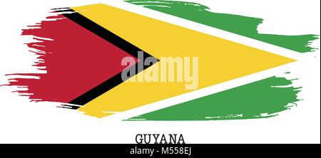 Guyana flag vector grunge paint stroke   Stock Vector