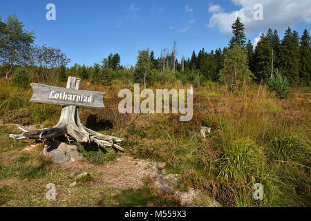 nature trail; Black Forest; Germany; Stock Photo