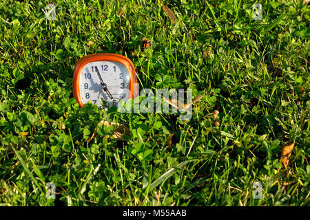 Orange alarm clock on a grass texture Stock Photo