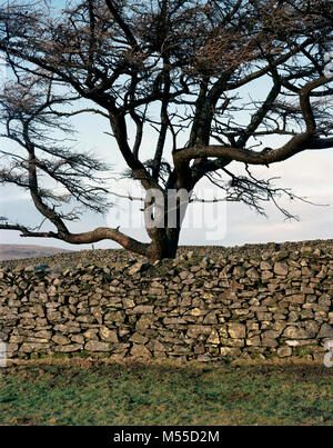 © John Angerson. Firbank Fell is a hill in Cumbria birthplace of Quakerism. Stock Photo