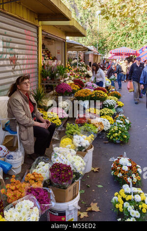 Fresh Flowers at Green Market, Split, Croatia