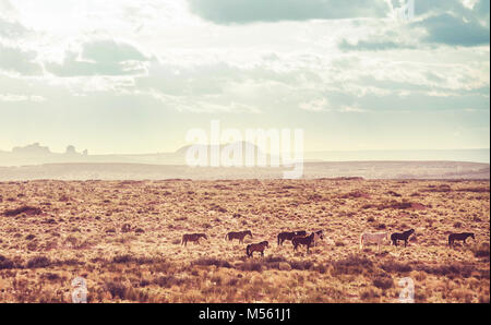 Horse in prairie Stock Photo