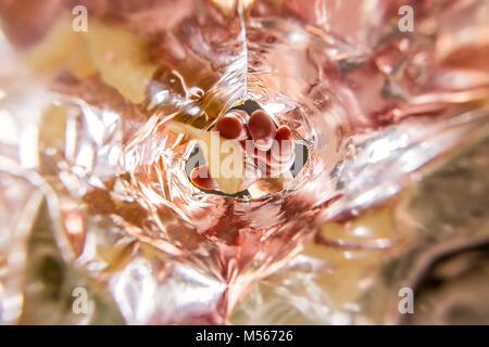 Hand hold  potato chip in bag.Worm view inside bag. Stock Photo
