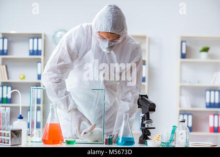 Scientist doing animal experiment in lab with rabbit Stock Photo