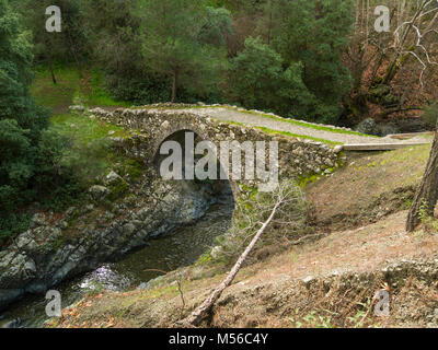 Small pedestrian  humpbacked bridge over small stream in Troodos Mountains Cyprus leading to a track in the forest Stock Photo