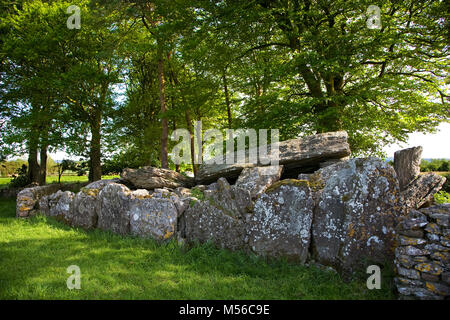 Labbacallee wedge tomb pre-historic burial monument, near Glanworth, County Cork, Ireland is the largest in Ireland and dates from roughly 2300 BC. Stock Photo