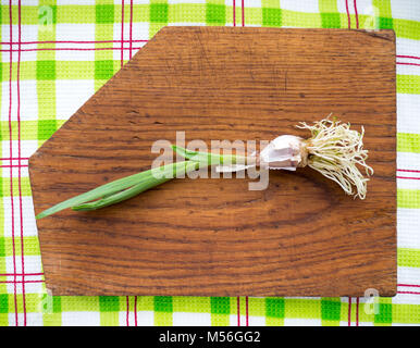 Sprouted garlic on a wood background. Stock Photo
