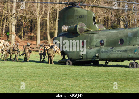 Olst Feb 7 2018: Amry and Air Force helicopter exercise. Chinook landing to pick up soldiers Stock Photo