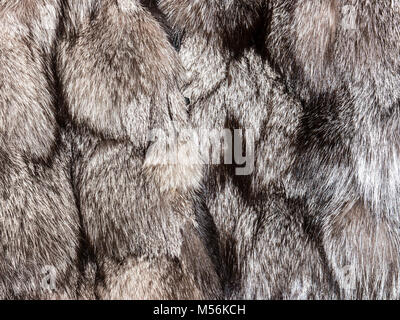 The Fur background and texture. Stock Photo