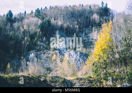 View from the bottom to the hills top. Curved lines and colorful trees in the autumn II Stock Photo