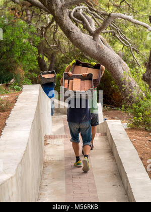 Workers carrying bricks to site by hand on the island of Capri, Italy. Stock Photo
