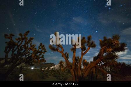 Rock formations and Joshua Trees at night with stars in the sky at ...
