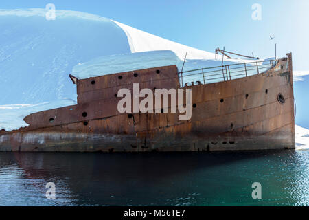 Norweigan whaling shipwreck; Gouvenoren; Enterprise Island; Antarctica Stock Photo