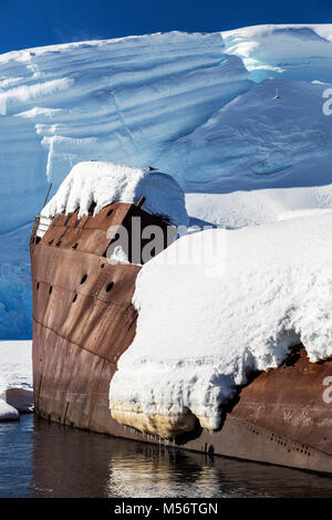 Norweigan whaling shipwreck; Gouvenoren; Enterprise Island; Antarctica Stock Photo