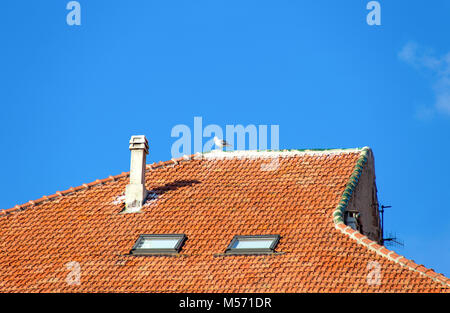 Seagull standing on a tiled roof of an house, Italy; Stock Photo
