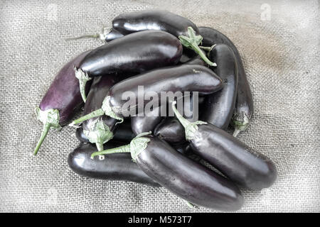 A large number of ripe eggplant. Presented by close up, top view. Stock Photo