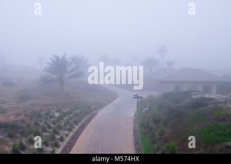 Path to Golf Course Saadiyat Island captured in foggy Morning. Stock Photo