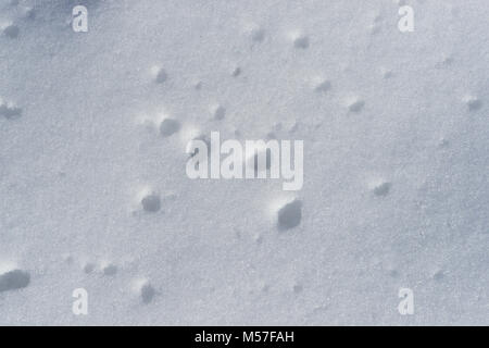 Texture of fresh snow of grayish and bluish color to be used as a pattern or background Stock Photo