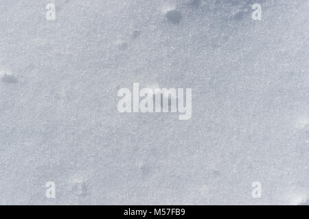 Texture of fresh snow of grayish and bluish color to be used as a pattern or background Stock Photo