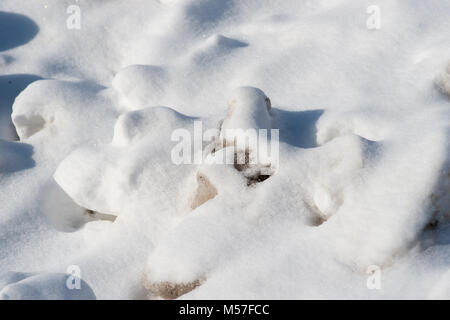 Old and partially melted dirty snowdrifts covered with a layer of pure fresh snow. To be used as a pattern or background Stock Photo